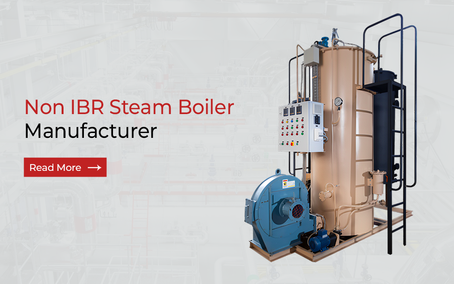 Non IBR Steam Boiler Manufacturer